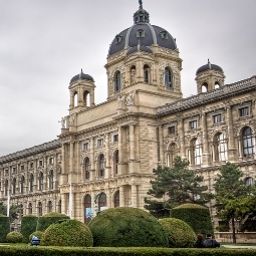  Kummer Fotos