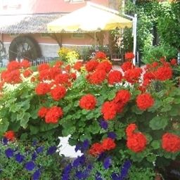 Jardin Hofmann zur Mühle Fotos