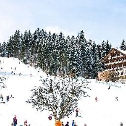  Zollernblick Waldhotel Fotos