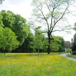 Garden Kavaliershaus zu Schloss Eckberg Fotos