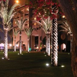 Vue intérieure InterContinental MUSCAT Fotos