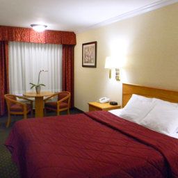 Camera Comfort Inn Near Old Town Pasadena Fotos