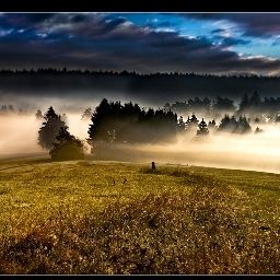 Ambiente Waldgericht Fotos