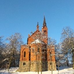 Vue Wald und See Fotos