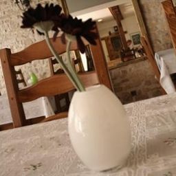 Sala colazione nel ristorante Republique Fotos