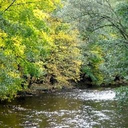 Ambiente Weinhaus Eberitzsch Fotos