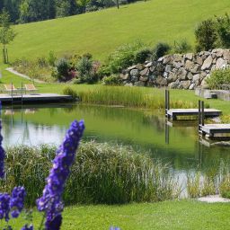 Jardín Kothmühle Fotos