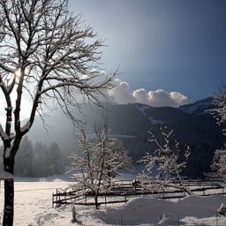 Ausblick Alpin Fotos