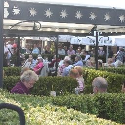 Terraza Marktkieker Fotos