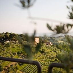 Panorama Athena Fotos