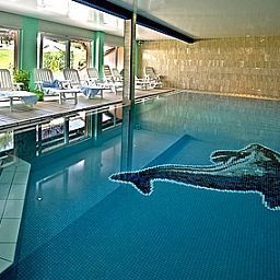 Piscine Au Chasseur Relais du Silence Fotos
