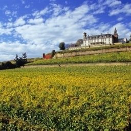 Vista esterna Chateau d Isenbourg Grandes Etapes Francaises Fotos
