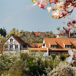 Außenansicht Le Relais de Wasselonne Fotos