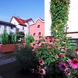 Garten Germania Fotos