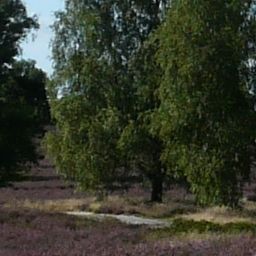 Jardín Im Wiesengrund Fotos