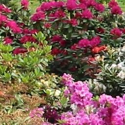 Jardín Im Wiesengrund Fotos