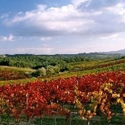 Vue extérieure Borgo di Cortefreda Fotos