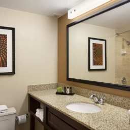 Suite Embassy Suite Atlanta Perimeter Fotos