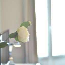  De France Fotos
