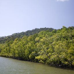  Bloomfield Lodge - Beautifully Fotos