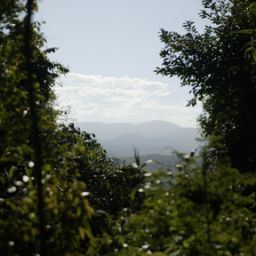  Bloomfield Lodge - Beautifully Fotos