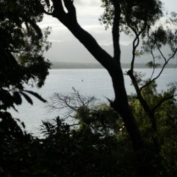  Bloomfield Lodge - Beautifully Fotos