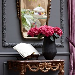 Recepción De Orangerie Fotos
