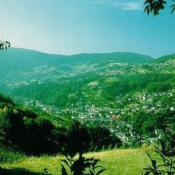 Ausblick Badischer Löwe Fotos