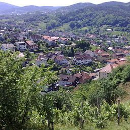 Ausblick Badischer Löwe Fotos