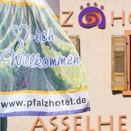 Vista esterna Pfalzhotel Asselheim Fotos