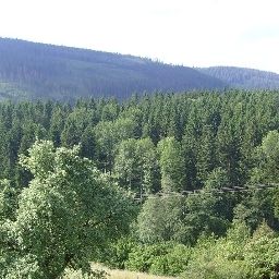 View Hirsch Gasthof Fotos