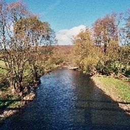 Umgebung Berghotel Waidmannsheil Fotos