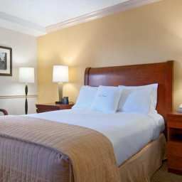 Pokój DoubleTree by Hilton New Orleans Fotos