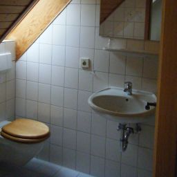  Pflug Fotos