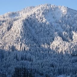 Widok z hotelu Berghotel Tirol Fotos