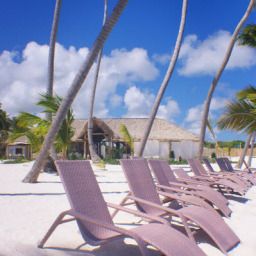 Vista The Puntacana Hotel Fotos