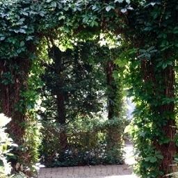 Garden Lindenufer Fotos