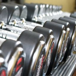 Remise en forme Astralis  Domizil Fotos