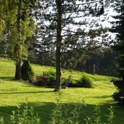 Garten Waldhotel Bächlein Fotos