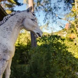  Häuserl im Wald Fotos