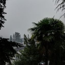  Ville La Perla Fotos