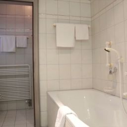  Löwen Fotos
