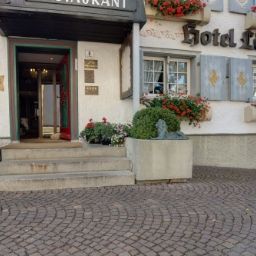  Löwen Fotos