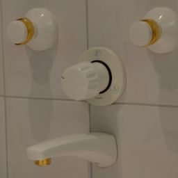  Löwen Fotos