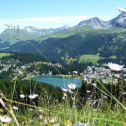Ausblick Streiff Superior Fotos