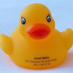 Zertifikat Alpha Fotos