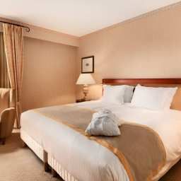 Suite Hilton Schiphol Airport Fotos
