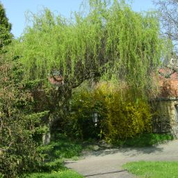 Garden Warnstedter Krug Land-gut-Hotels Fotos