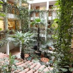  Solitaire Hotel & Boardinghouse Fotos