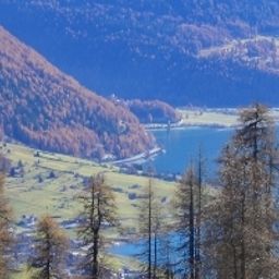  Reschnerhof Fotos